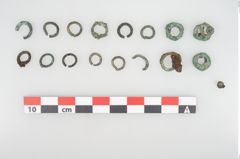Foto von Bronzering (NHMW-PRAE-026654)